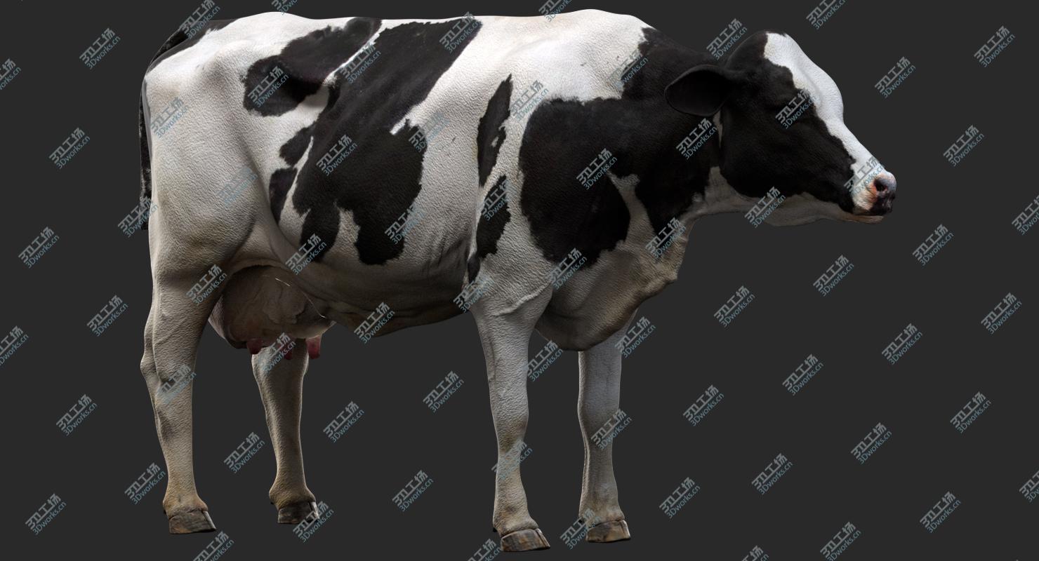 images/goods_img/20210313/Dairy Cow (NoFur) (Rigged) 3D model/2.jpg